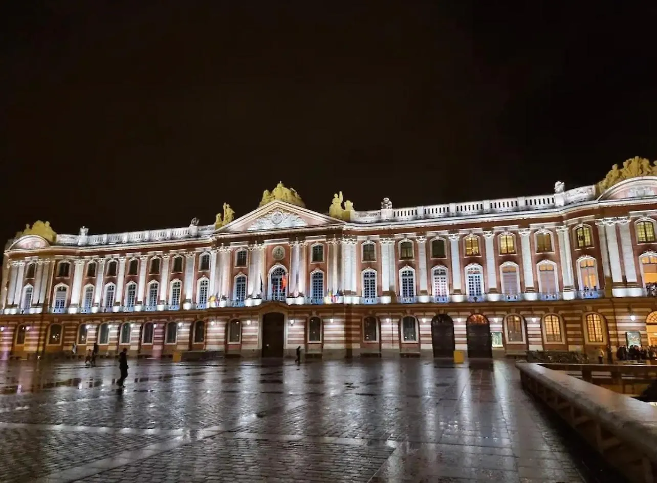 Apartment Minimes Studio - Metro 5 Min - Parking Prive - Entree Autonome Toulouse